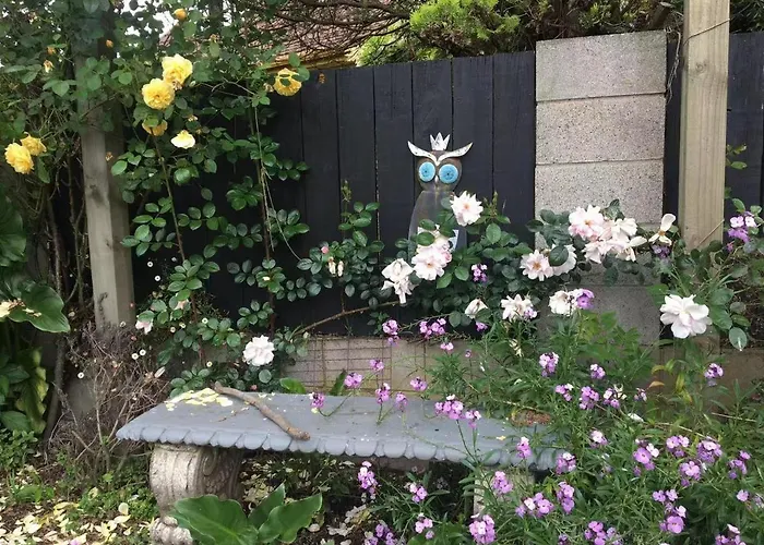Amy's Forest *